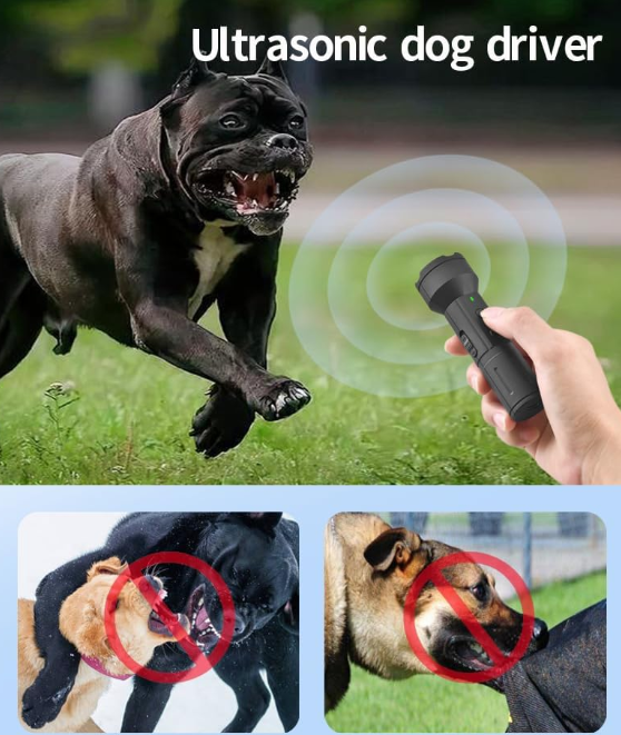 Miniatura 4 de ADIESTRADOR CANINO